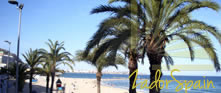 Alicante, Costa Blanca, Spain: Spanish courses