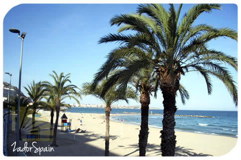 Alicante, Costa Blanca, Spain: Spanish courses